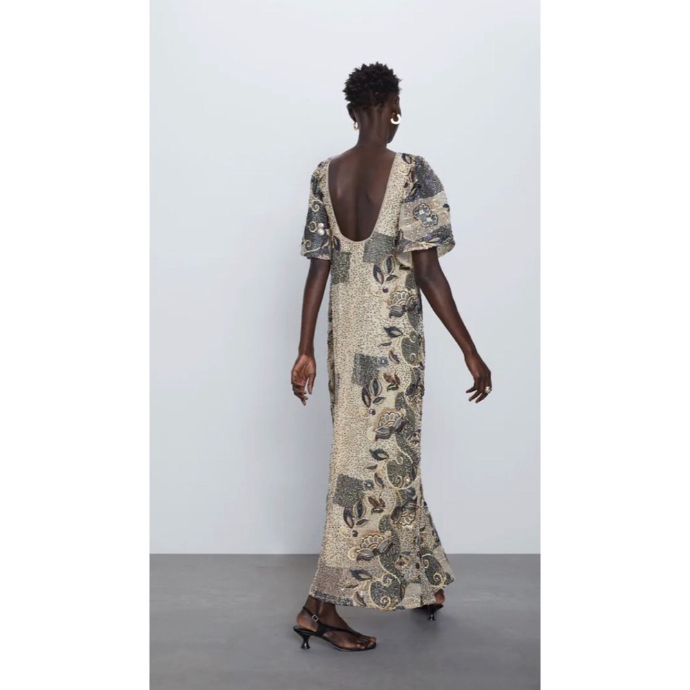 NWT Limited Edition Embroidered Maxi Dress by Zara